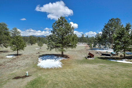 Colorado Mountain Home for sale - image 19