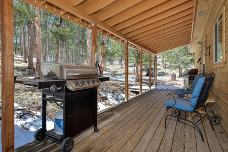 Colorado Mountain Home for sale - image 15
