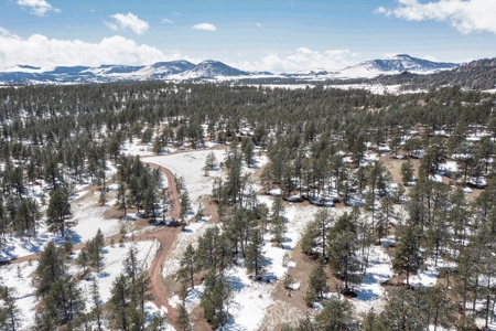 Colorado Mountain Home for sale - image 50