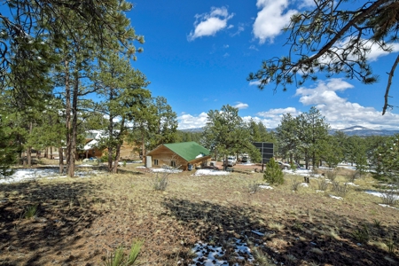Colorado Mountain Home for sale - image 13