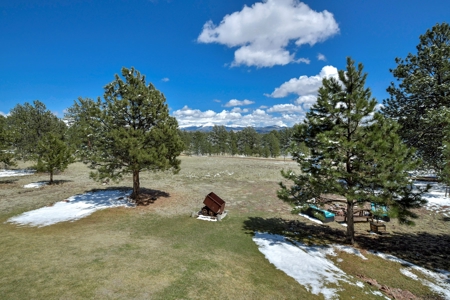 Colorado Mountain Home for sale - image 18