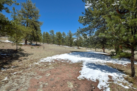 Colorado Mountain Home for sale - image 16