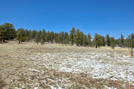 Colorado Mountain Home for sale - image 12
