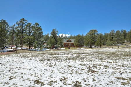 Colorado Mountain Home for sale - image 10