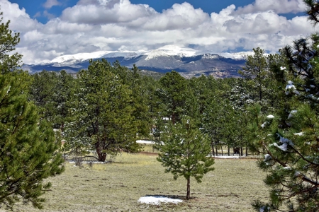 Colorado Mountain Home for sale - image 49