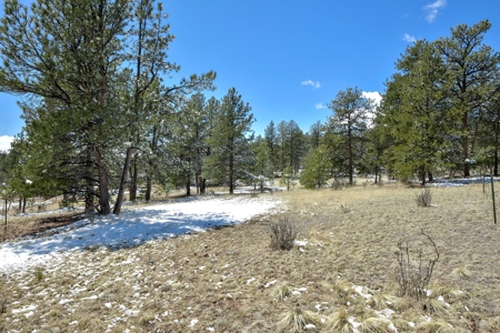 Colorado Mountain Home for sale - image 9