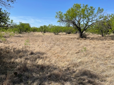 The Hideout Golf Club Residential Lot 527 Lake Brownwood TX - image 10