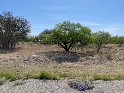 The Hideout Golf Club Residential Lot 527 Lake Brownwood TX - image 5