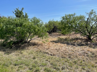 The Hideout Golf Club Residential Lot 527 Lake Brownwood TX - image 4