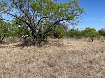 The Hideout Golf Club Residential Lot 527 Lake Brownwood TX - image 12