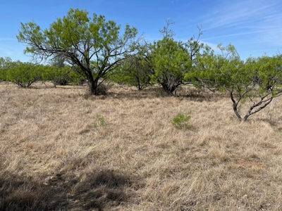The Hideout Golf Club Residential Lot 527 Lake Brownwood TX - image 9