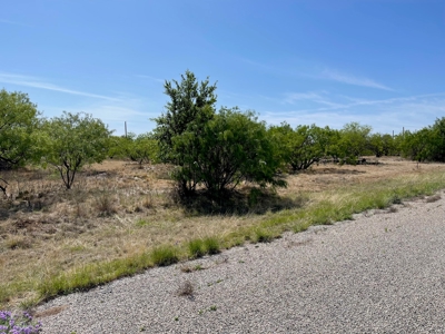 The Hideout Golf Club Residential Lot 527 Lake Brownwood TX - image 6