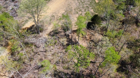 Land for Sale with Acreage in Lewis County Tennessee - image 5