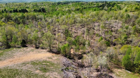 Land for Sale with Acreage in Lewis County Tennessee - image 12