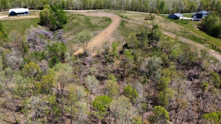 Land for Sale with Acreage in Lewis County Tennessee - image 4