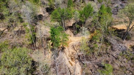 Land for Sale with Acreage in Lewis County Tennessee - image 6