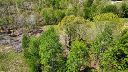Land for Sale with Acreage in Lewis County Tennessee - image 11