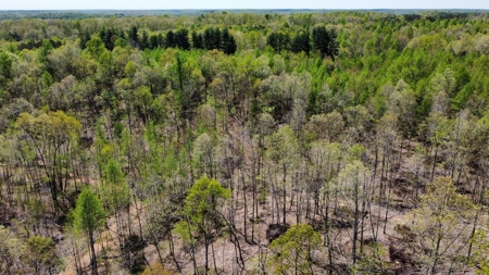 Land for Sale with Acreage in Lewis County Tennessee - image 9