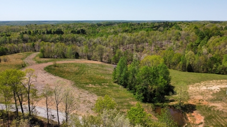 Land for Sale with Acreage in Lewis County Tennessee - image 1