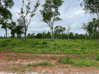 Alto Texas Lots For Sale - image 10