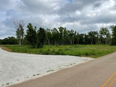Alto Texas Lots For Sale - image 7