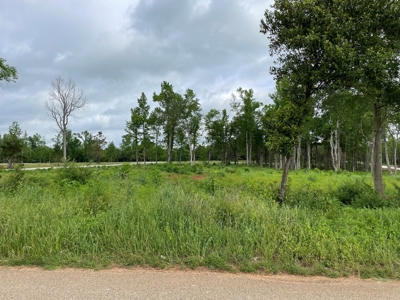 Alto Texas Lots For Sale - image 9