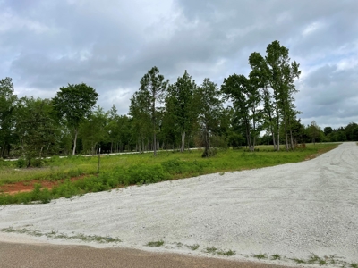 Alto Texas Lots For Sale - image 8