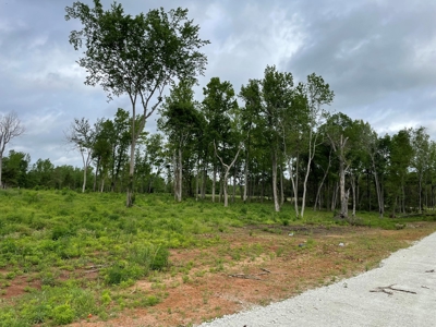Alto Texas Lots For Sale - image 11