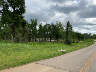 Alto Texas Lots For Sale - image 4