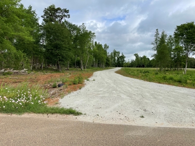 Alto Texas Lots For Sale - image 5