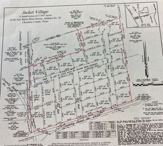 Alto Texas Lots For Sale - image 1