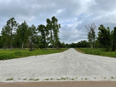 Alto Texas Lots For Sale - image 6