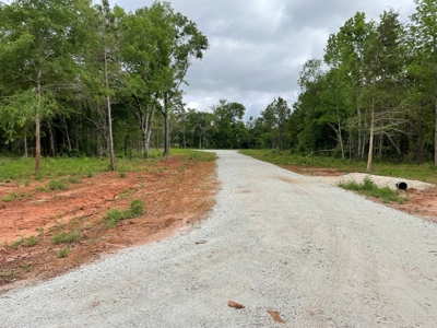 Alto Texas Lots For Sale - image 12