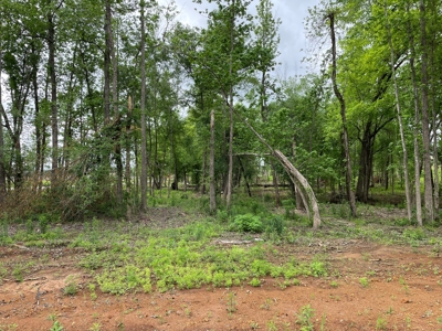 Alto Texas Lots For Sale - image 14
