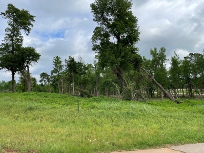 Alto Texas Lots For Sale - image 3