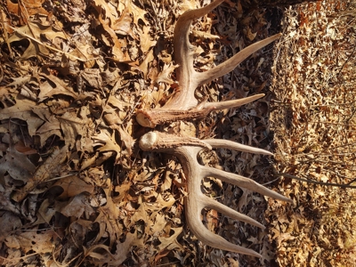 Trophy Class Hunting Property in Southern Iowa - image 15