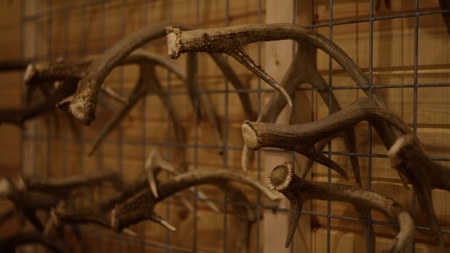 Trophy Class Hunting Property in Southern Iowa - image 37