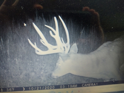 Trophy Class Hunting Property in Southern Iowa - image 5