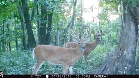 Trophy Class Hunting Property in Southern Iowa - image 19