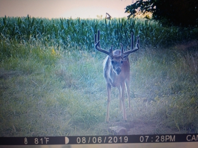 Trophy Class Hunting Property in Southern Iowa - image 10