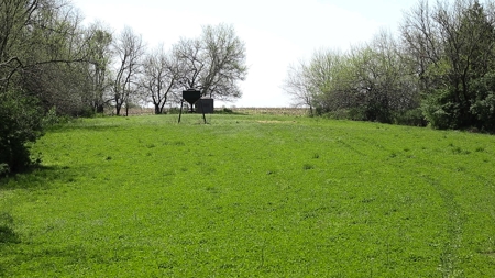 Trophy Class Hunting Property in Southern Iowa - image 25