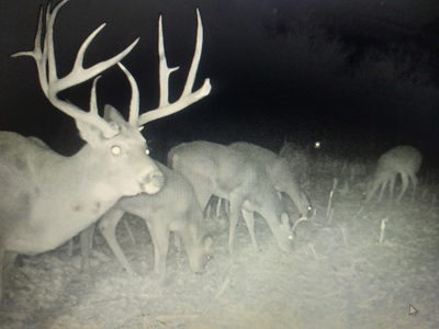 Trophy Class Hunting Property in Southern Iowa - image 2