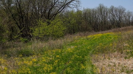 Trophy Class Hunting Property in Southern Iowa - image 31
