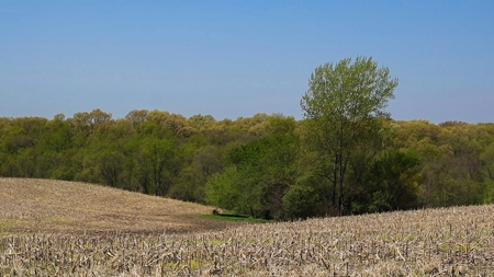 Trophy Class Hunting Property in Southern Iowa - image 27