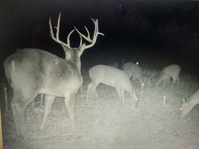 Trophy Class Hunting Property in Southern Iowa - image 3