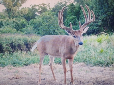 Trophy Class Hunting Property in Southern Iowa - image 7