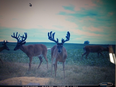 Trophy Class Hunting Property in Southern Iowa - image 14
