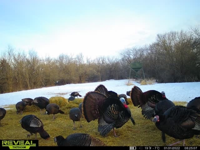 Trophy Class Hunting Property in Southern Iowa - image 17