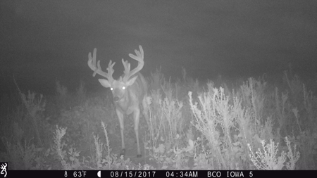 Trophy Class Hunting Property in Southern Iowa - image 22