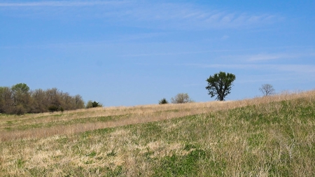 Trophy Class Hunting Property in Southern Iowa - image 33